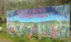 BBCG cabin