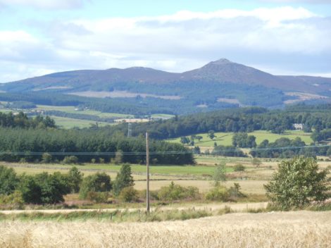 Bennachie skyline view